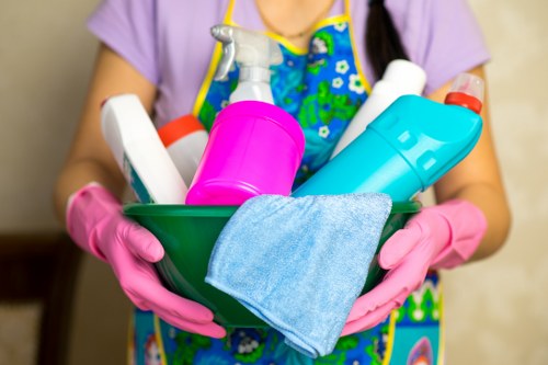 Routine vacuuming for effective rug cleaning