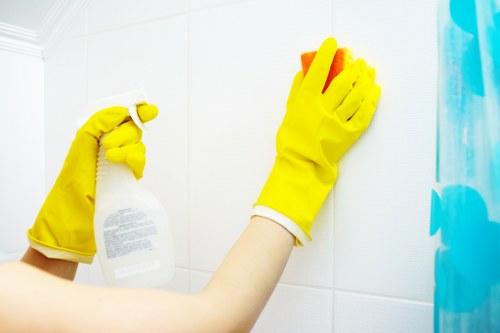 Fabric and leather sofa cleaning materials arranged neatly