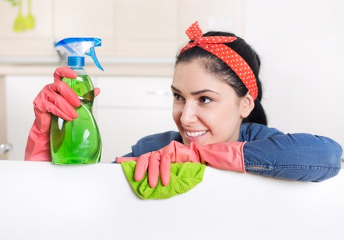 Furniture upholstery maintenance in a clean home interior